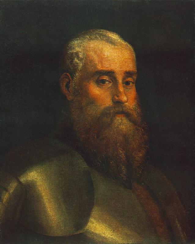 VERONESE (Paolo Caliari) Portrait of Agostino Barbarigo wr Sweden oil painting art